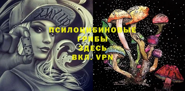 твердый Елабуга