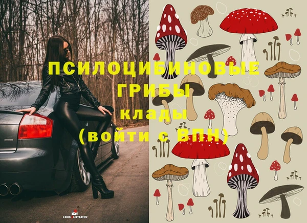 кристаллы Ельня