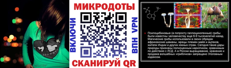 Купить где  Грайворон  Галлюциногенные грибы Psilocybe 